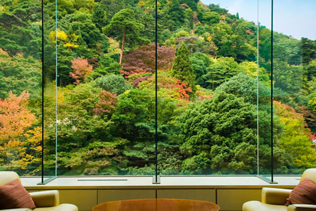 落葉山