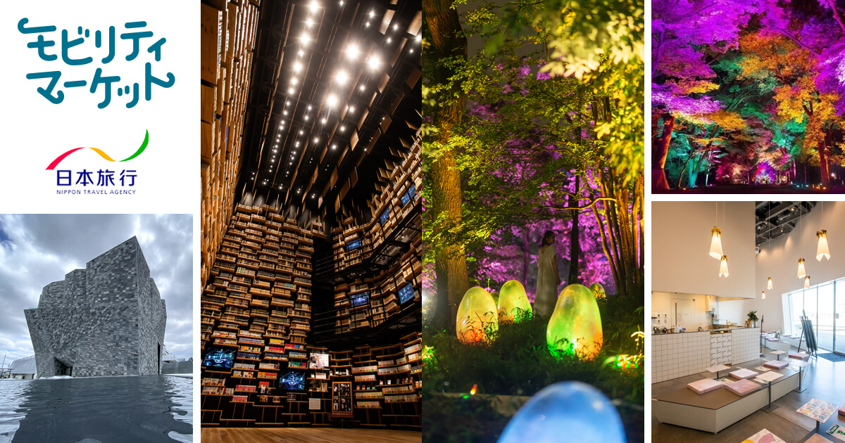 角川武蔵野ミュージアム＆武蔵野樹林パーク！光のアートと多様な文化・芸術に驚く