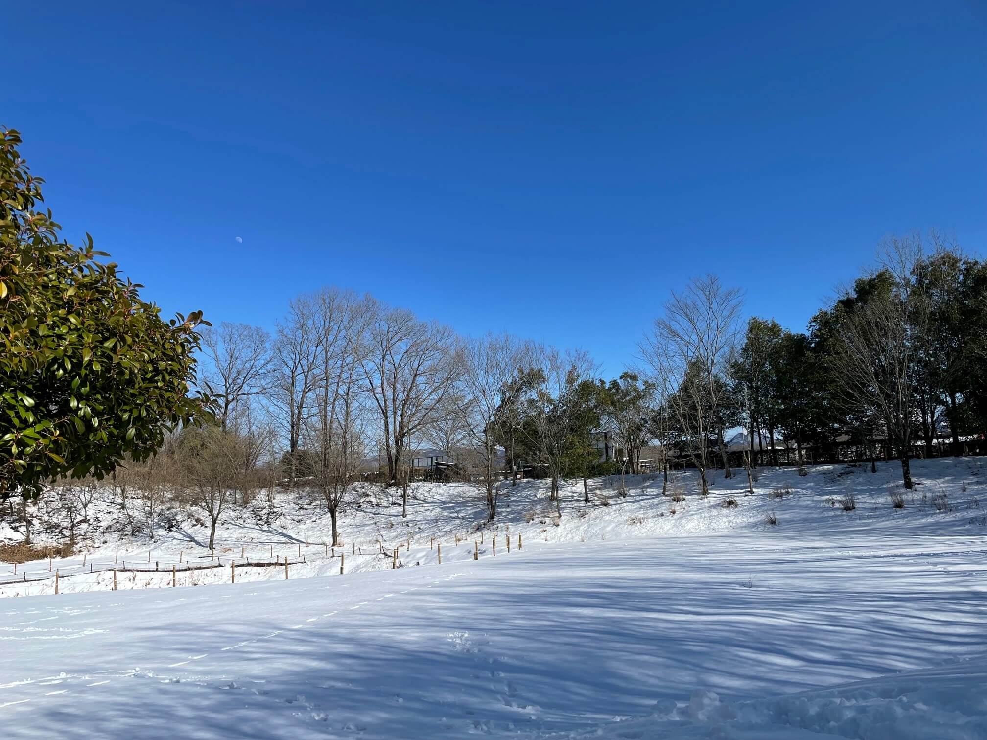 秩父の雪景色