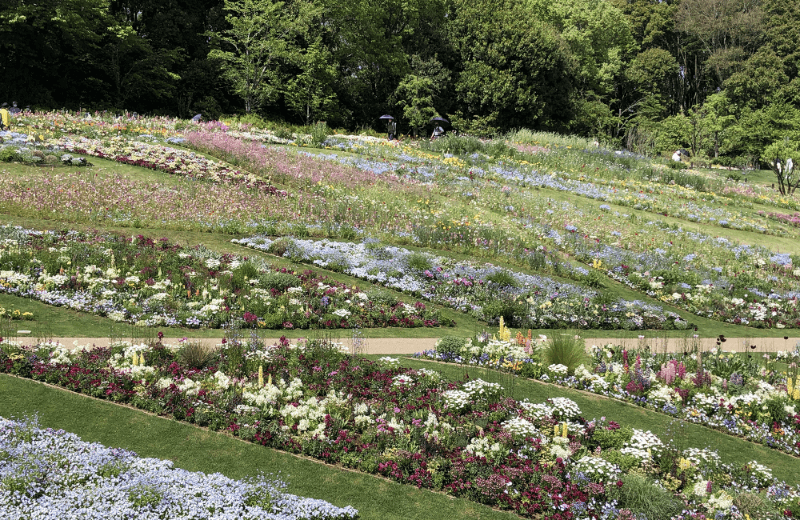 「里山ガーデン」大花壇