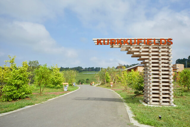kurkkufields_pizza_001