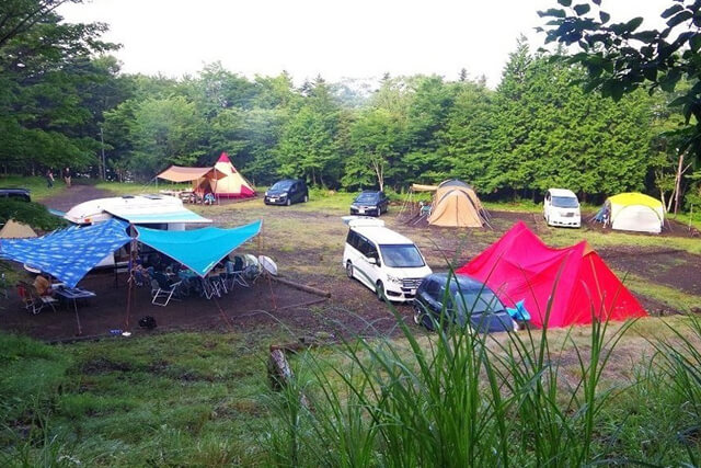 pica_omote_fuji_003