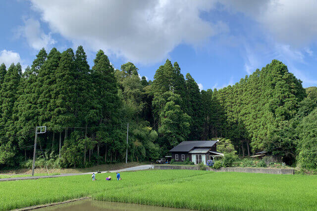 岩井ファーム