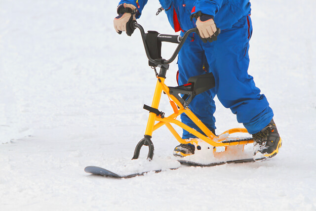 WAmazingSnow_004