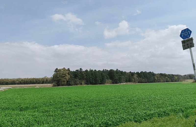 青空と広大な農場