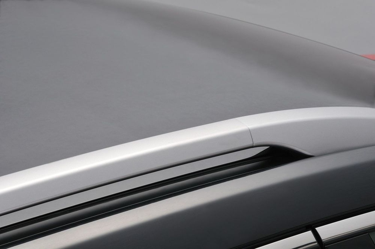 RAV4キャリア③_003_XS100