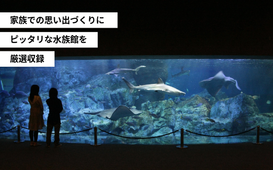 アクアリウムチケット1