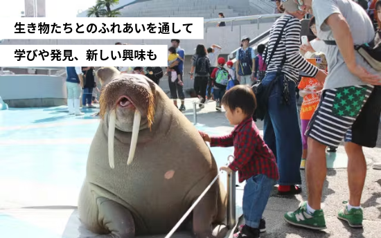 アクアリウムチケット2