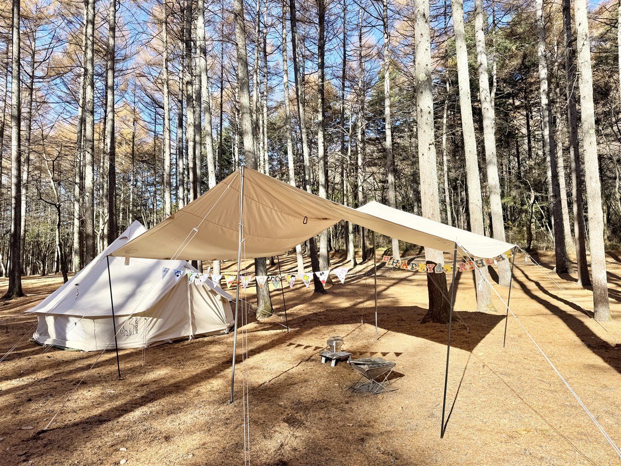 コットと寝床の構成