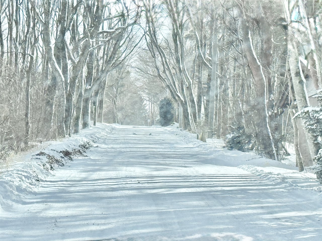 コットと寝床の構成