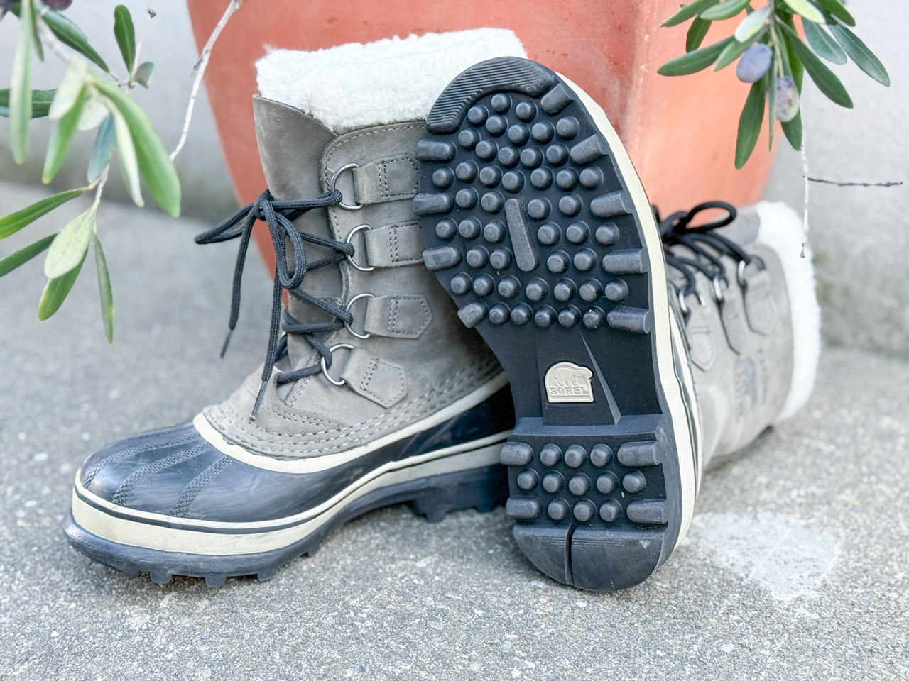 コットと寝床の構成