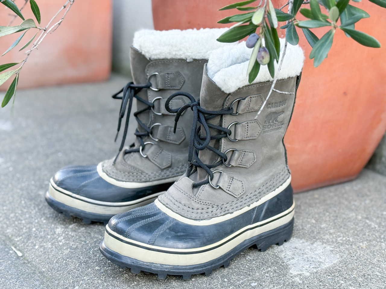 コットと寝床の構成